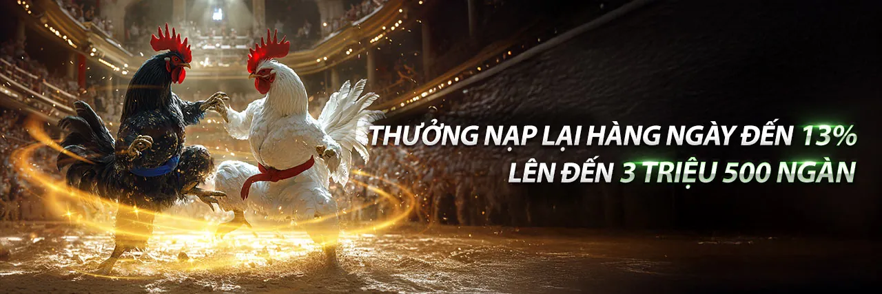 Đá gà Thomo trận 12 kịch tính